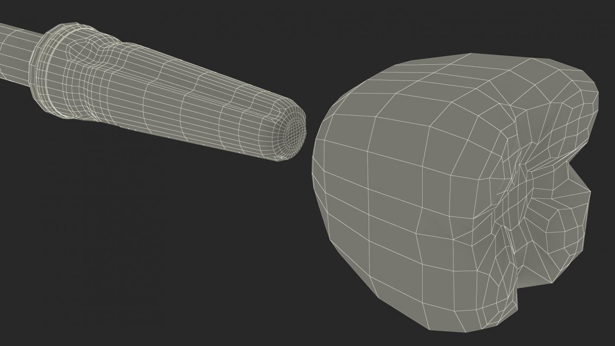 3D model Zygomatic Dental Implants