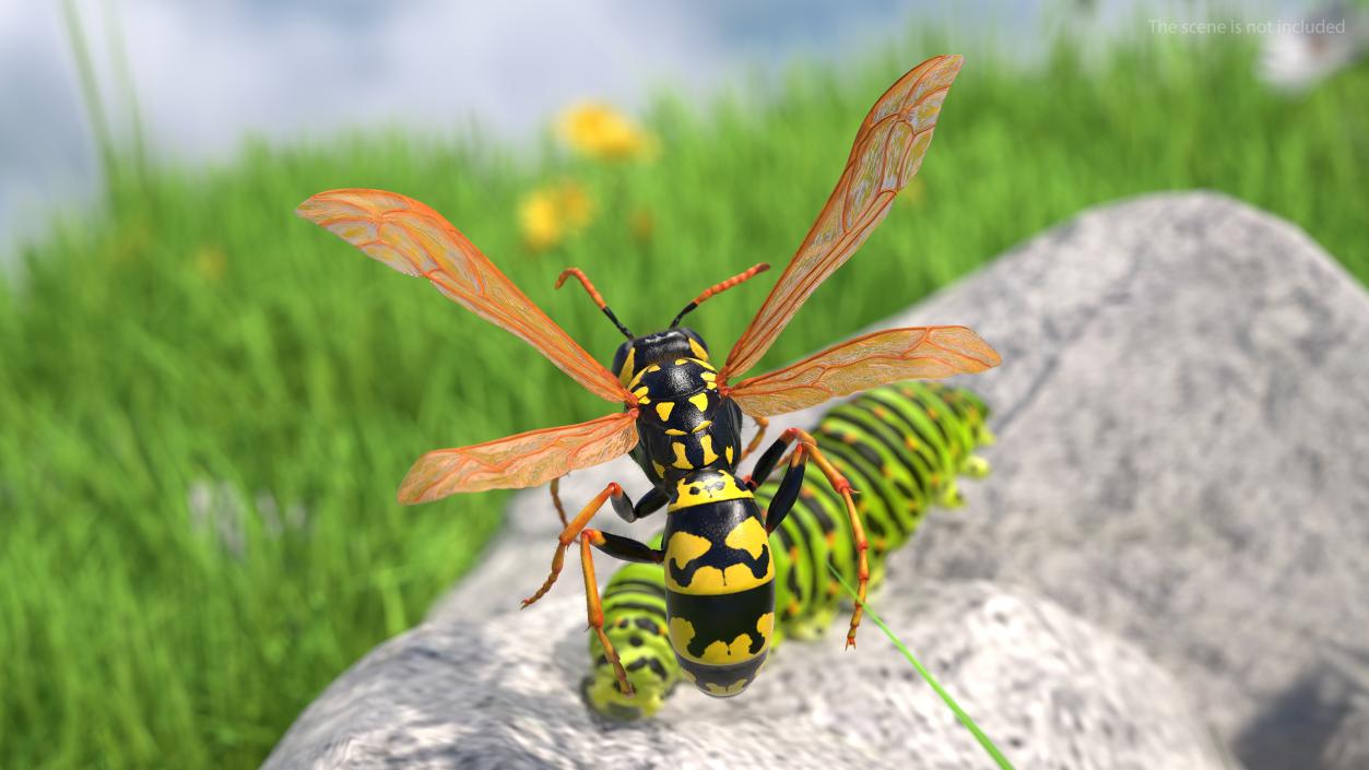 3D model Wasp Attack Pose Fur