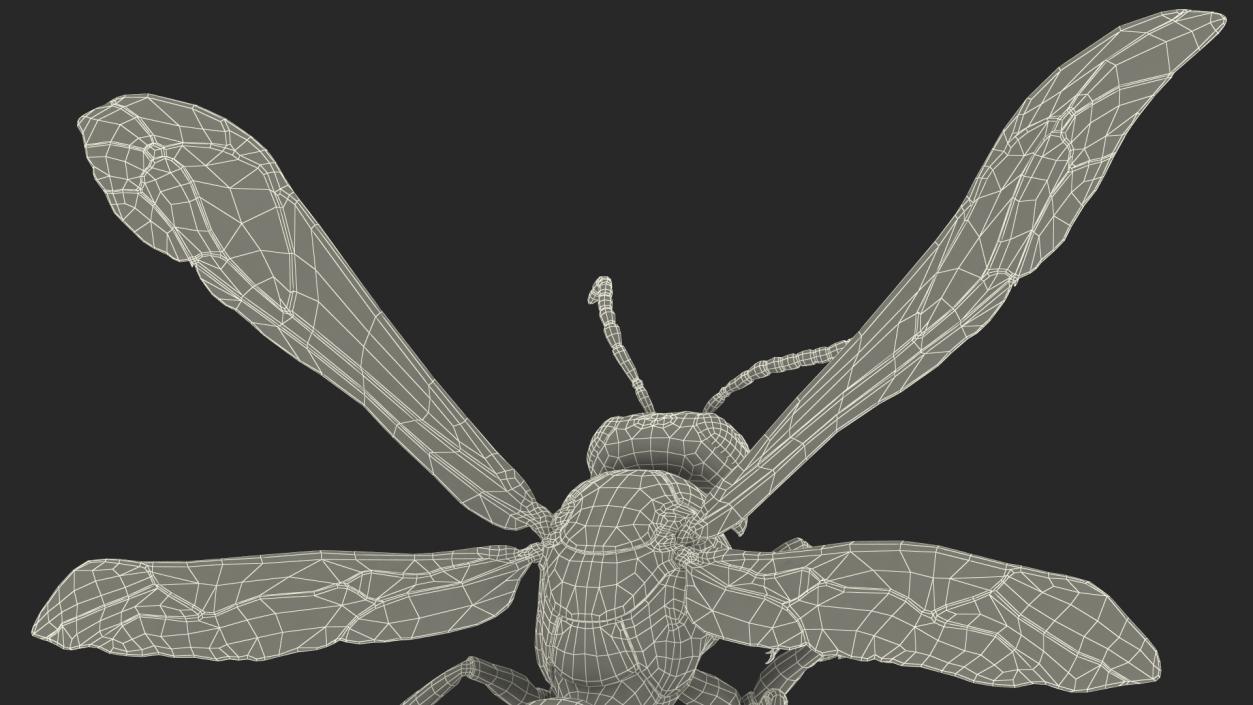 3D model Wasp Attack Pose Fur