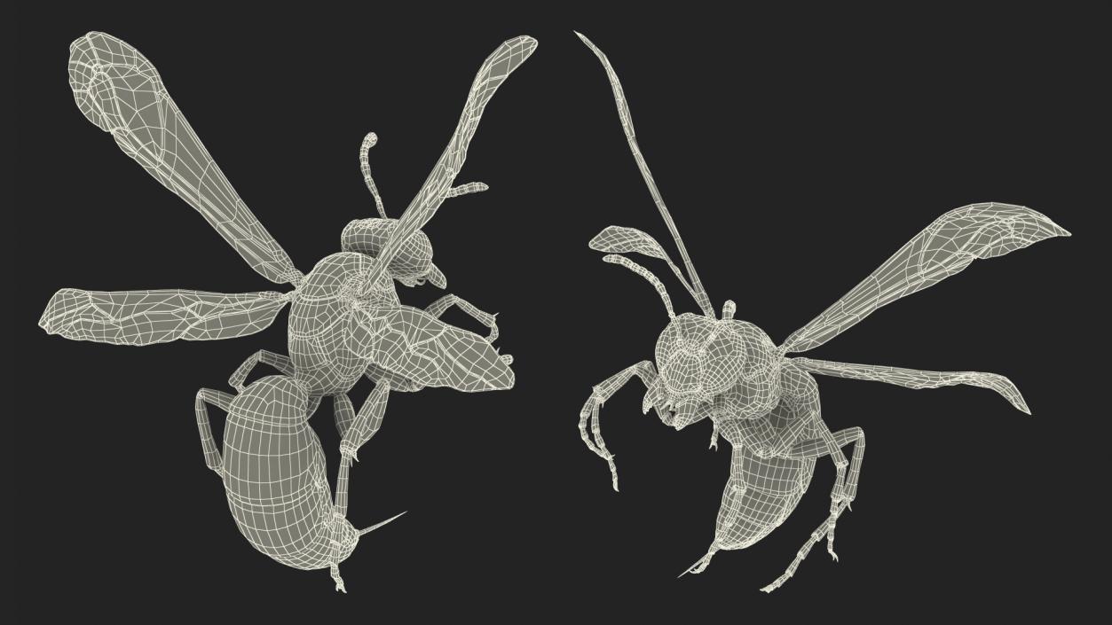 3D model Wasp Attack Pose Fur