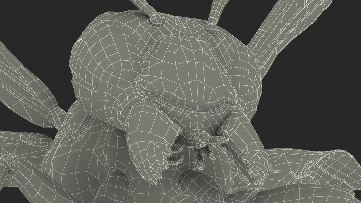 3D model Wasp Attack Pose Fur