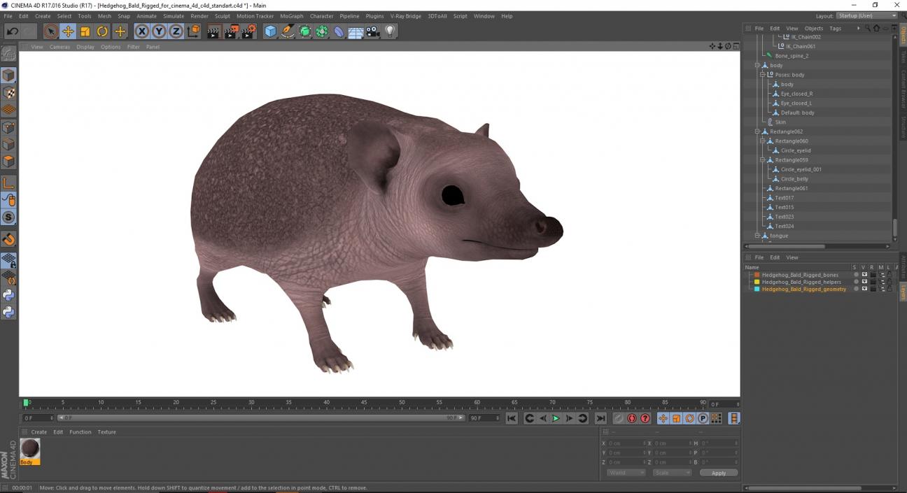 3D Hedgehog Bald Rigged for Cinema 4D 2