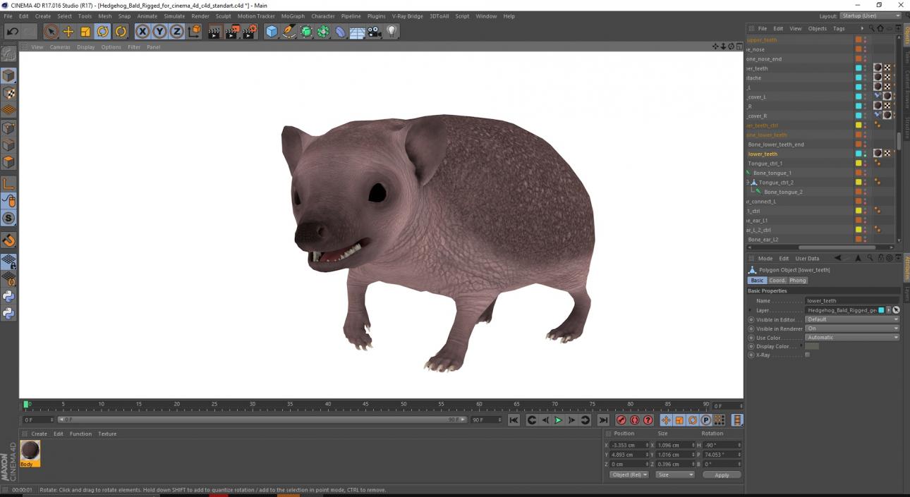 3D Hedgehog Bald Rigged for Cinema 4D 2