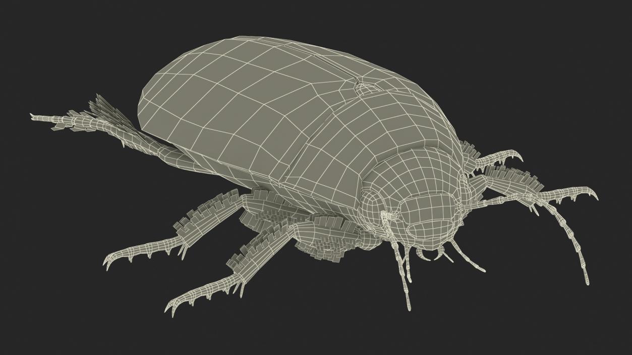 3D Screech Beetle Black Realistic Rigged for Maya