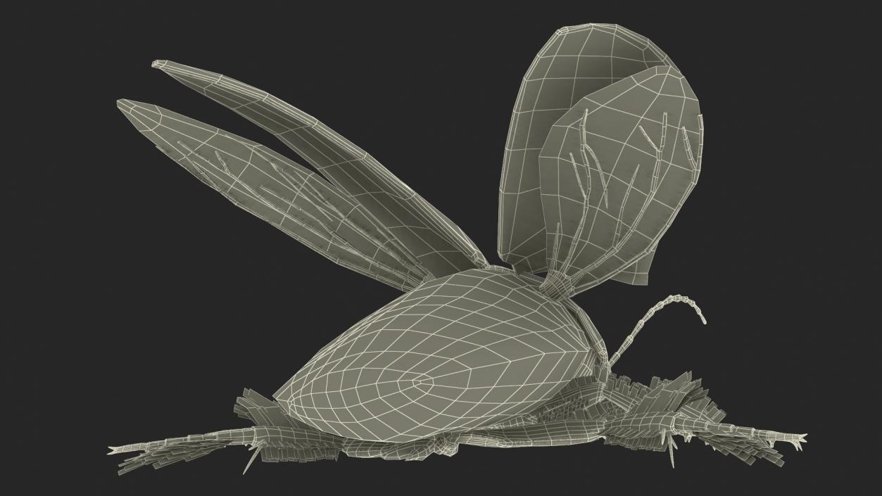 3D Screech Beetle Black Realistic Rigged for Maya