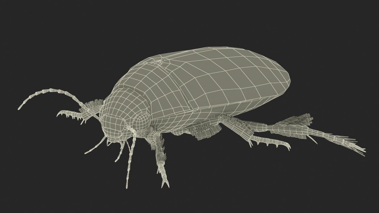 3D Screech Beetle Black Realistic Rigged for Maya