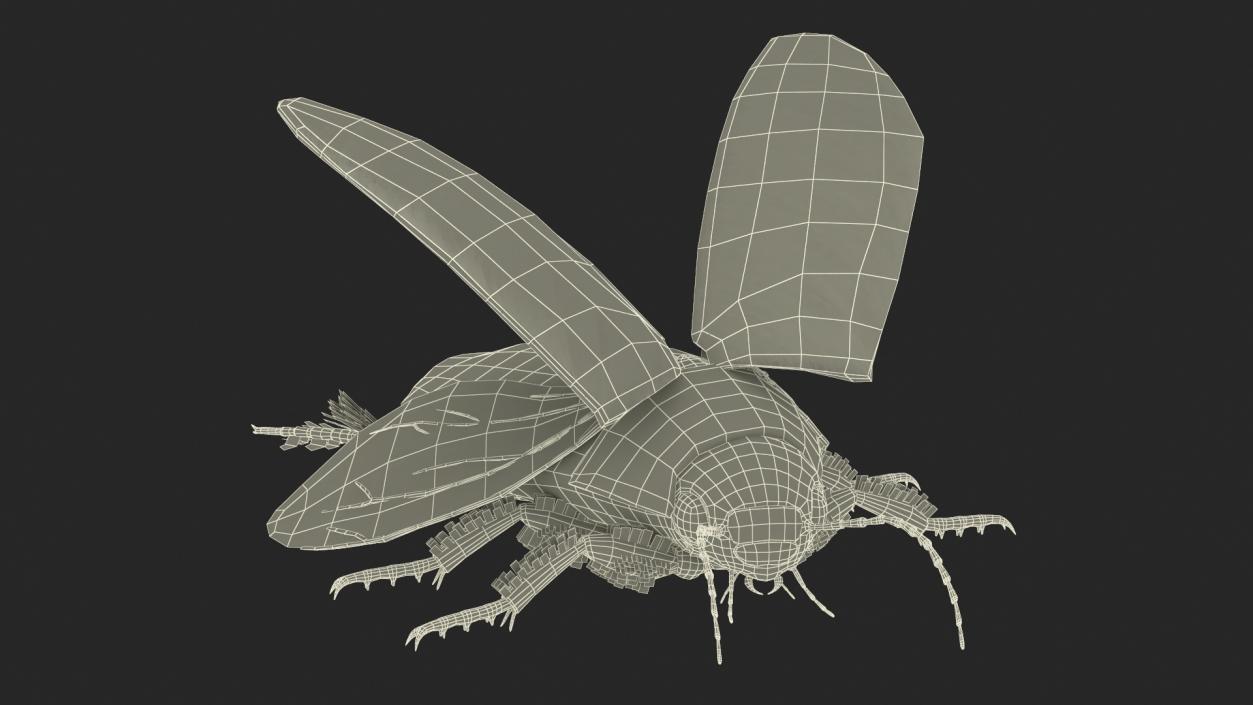 3D Screech Beetle Black Realistic Rigged for Maya