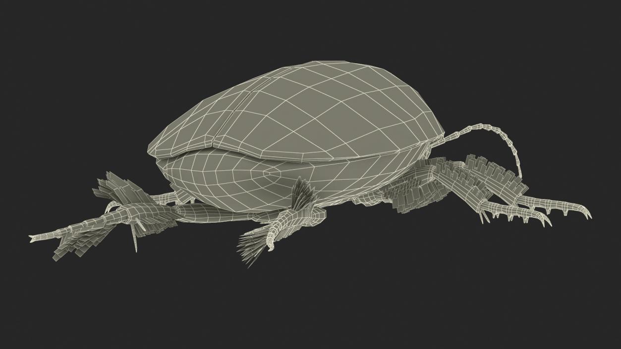 3D Screech Beetle Black Realistic Rigged for Maya