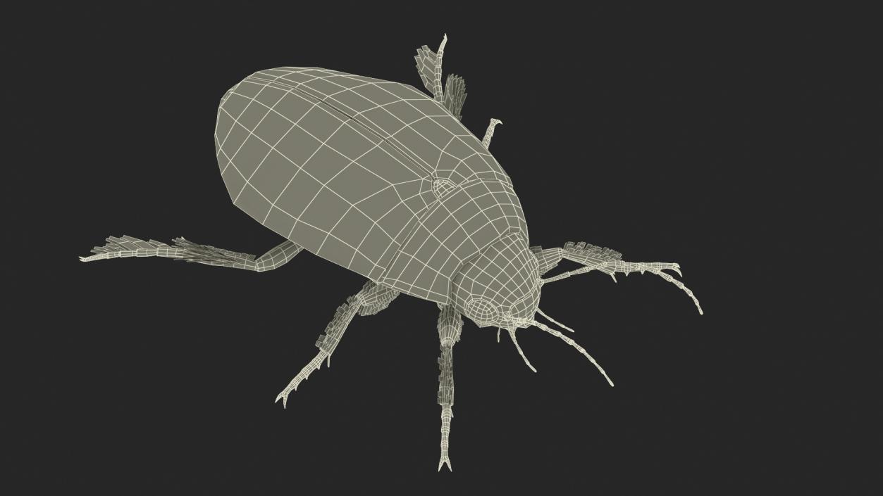 3D Screech Beetle Black Realistic Rigged for Maya