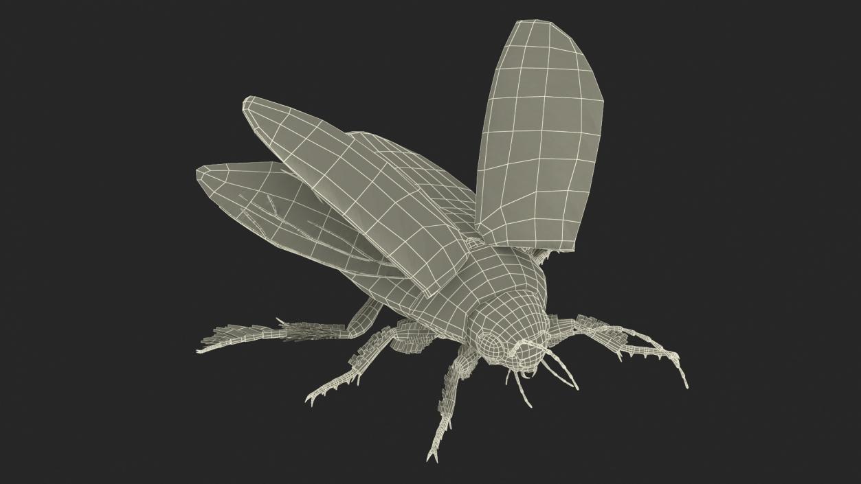 3D Screech Beetle Black Realistic Rigged for Maya