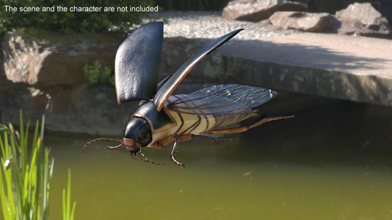 3D Screech Beetle Black Realistic Rigged for Maya