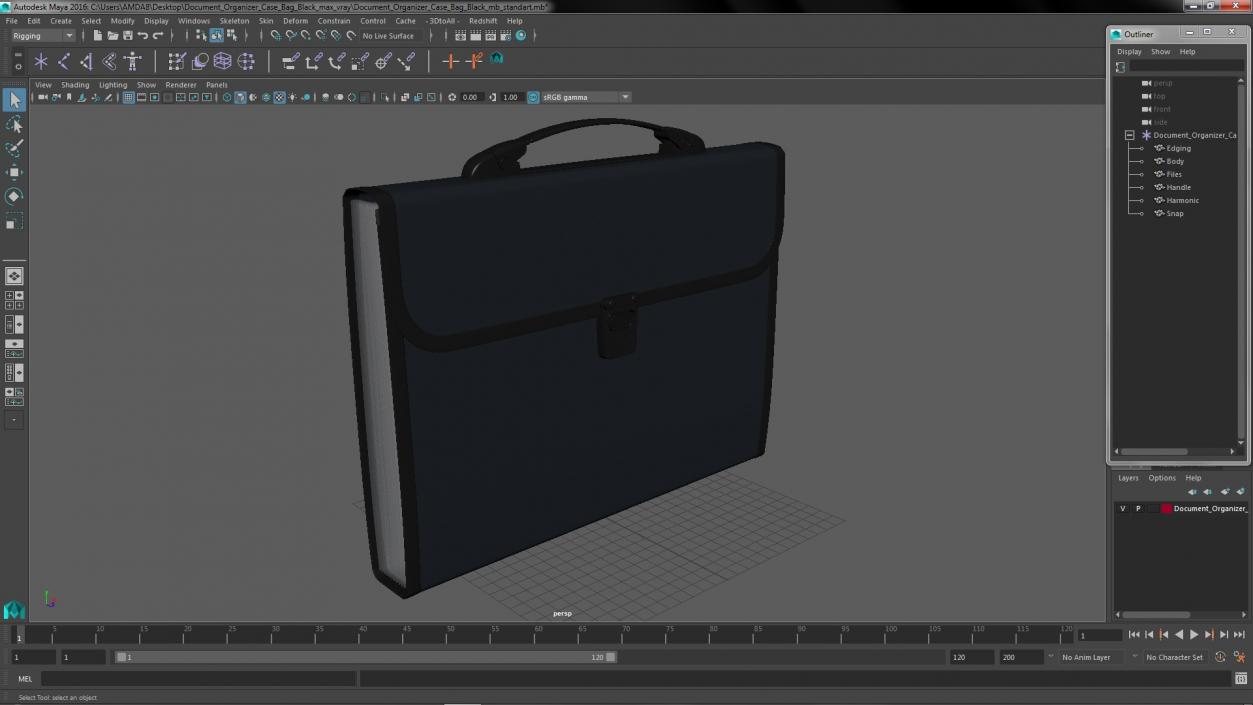 3D Document Organizer Case Bag Black model