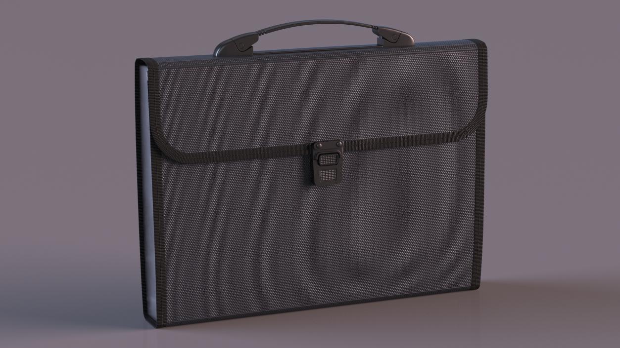 3D Document Organizer Case Bag Black model