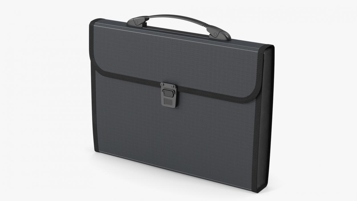 3D Document Organizer Case Bag Black model