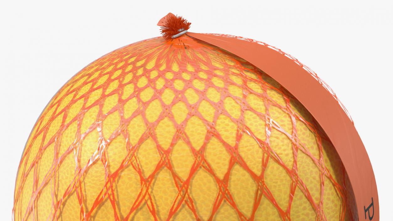 3D model Orange Pomelo Package Fur