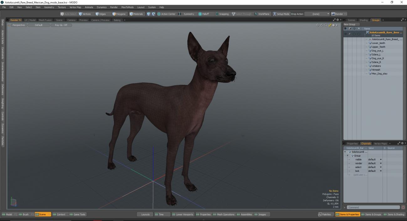 Xoloitzcuintli Rare Breed Mexican Dog 3D