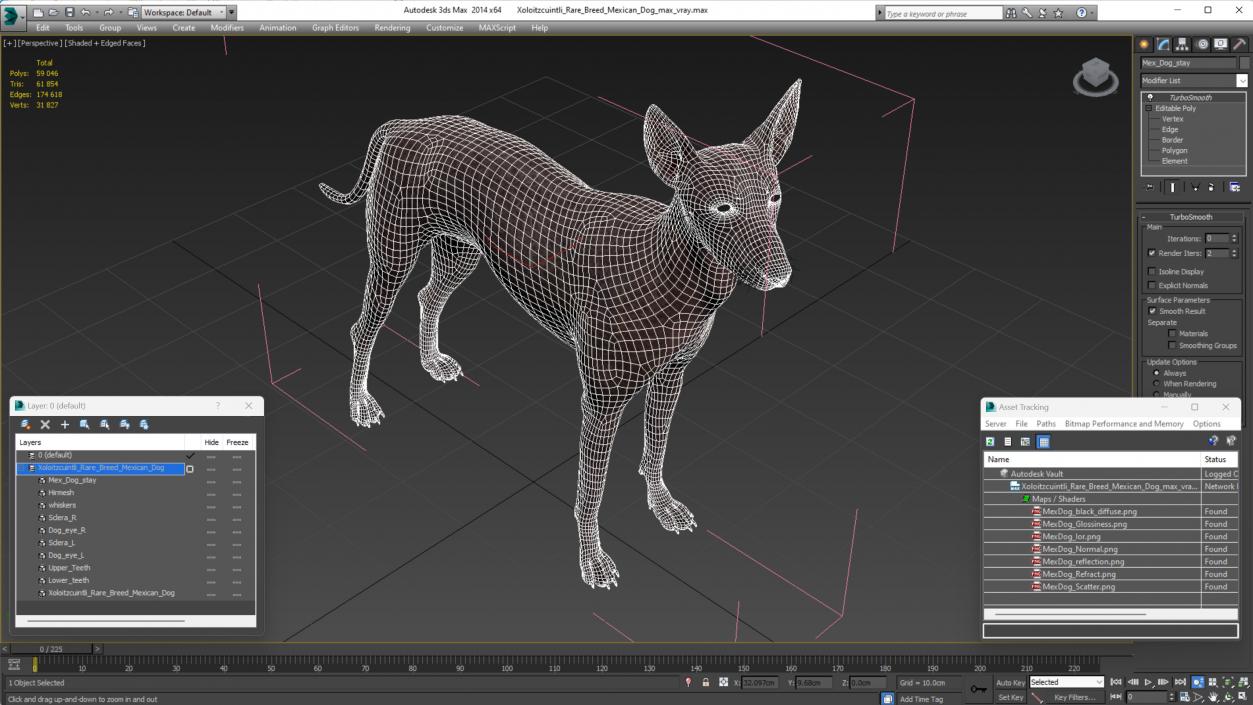 Xoloitzcuintli Rare Breed Mexican Dog 3D