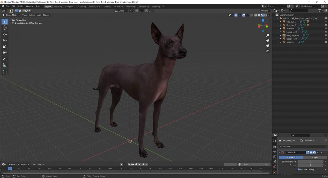 Xoloitzcuintli Rare Breed Mexican Dog 3D