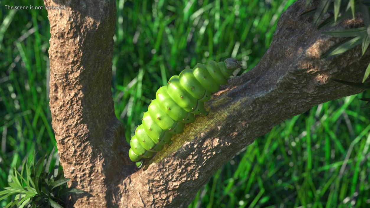 Silkworm Green 3D model