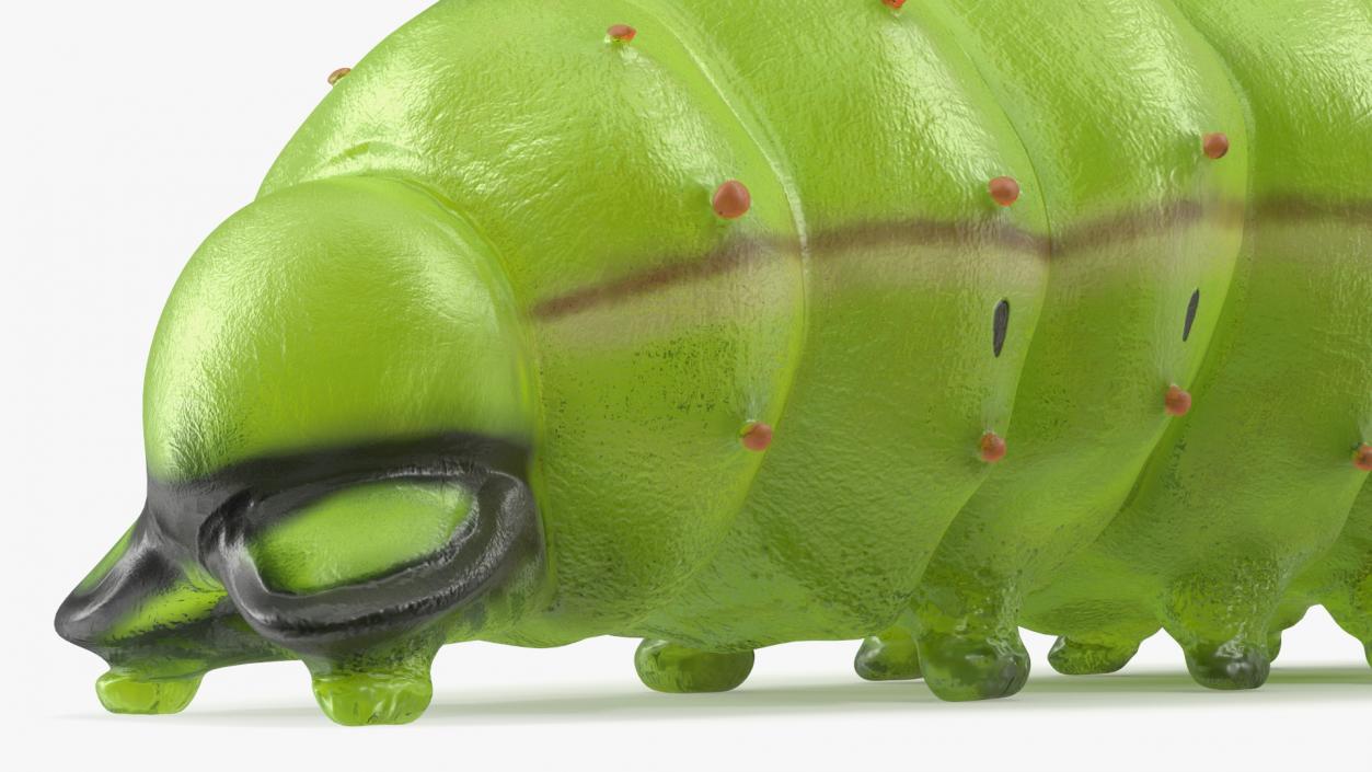 Silkworm Green 3D model