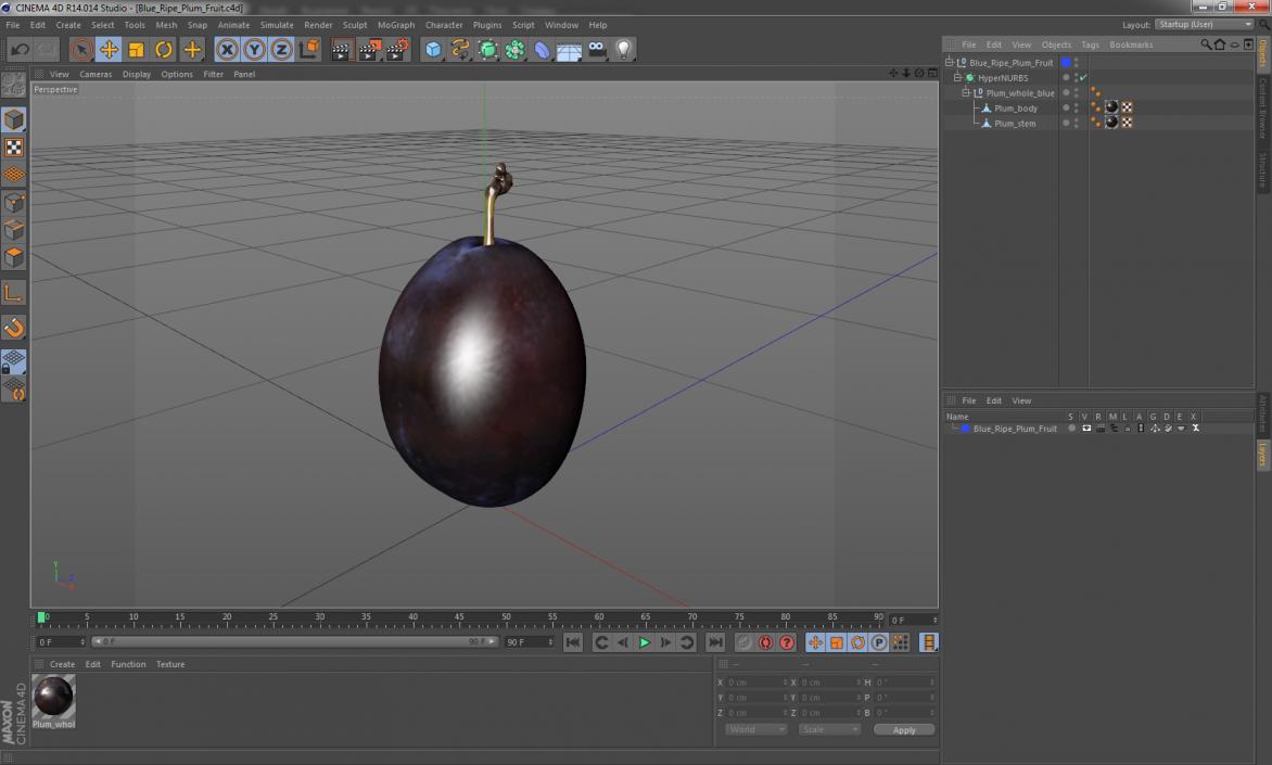 3D model Blue Ripe Plum Fruit