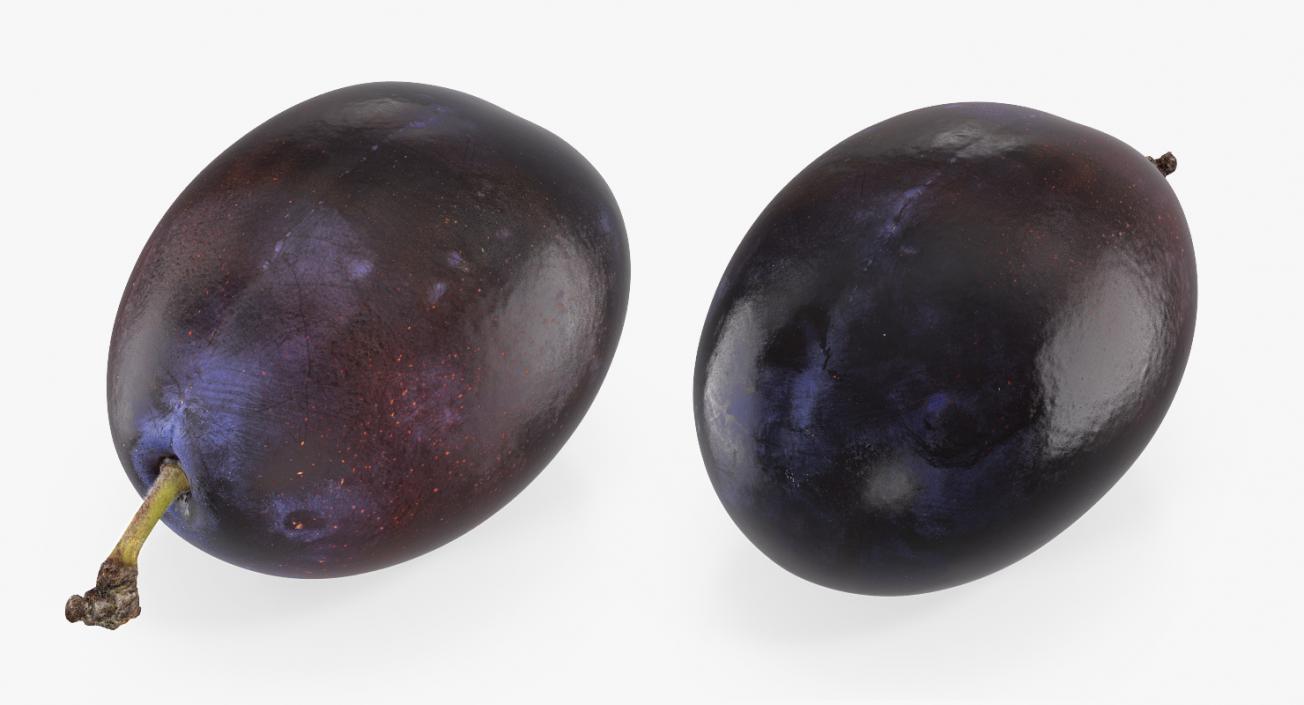 3D model Blue Ripe Plum Fruit