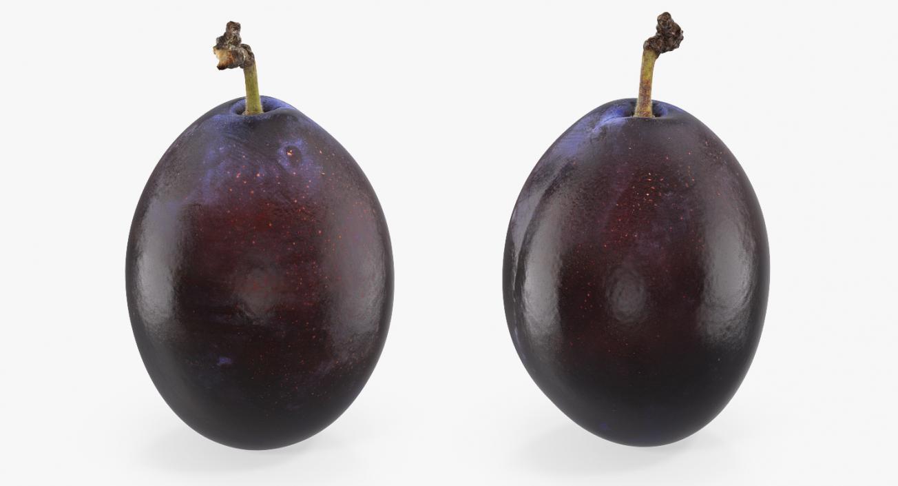 3D model Blue Ripe Plum Fruit