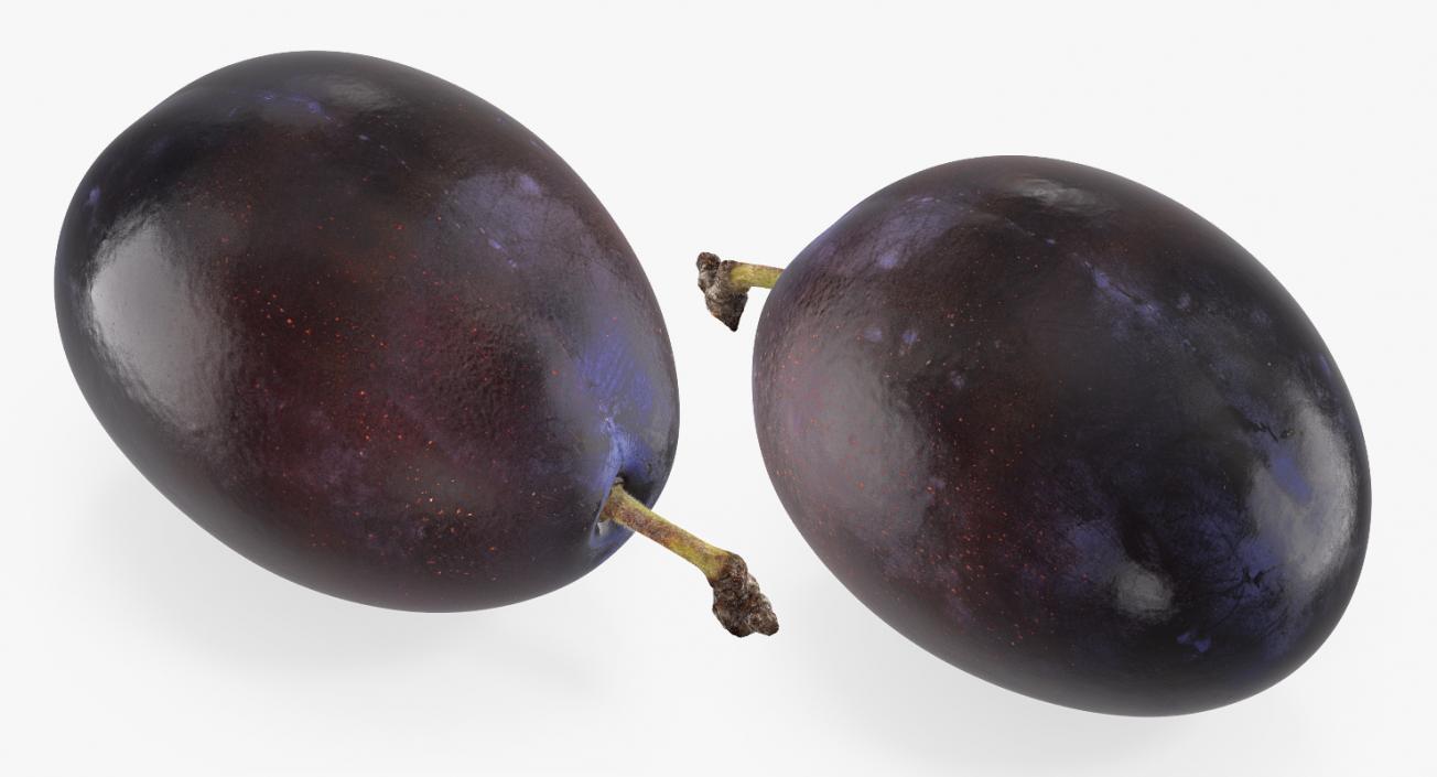 3D model Blue Ripe Plum Fruit