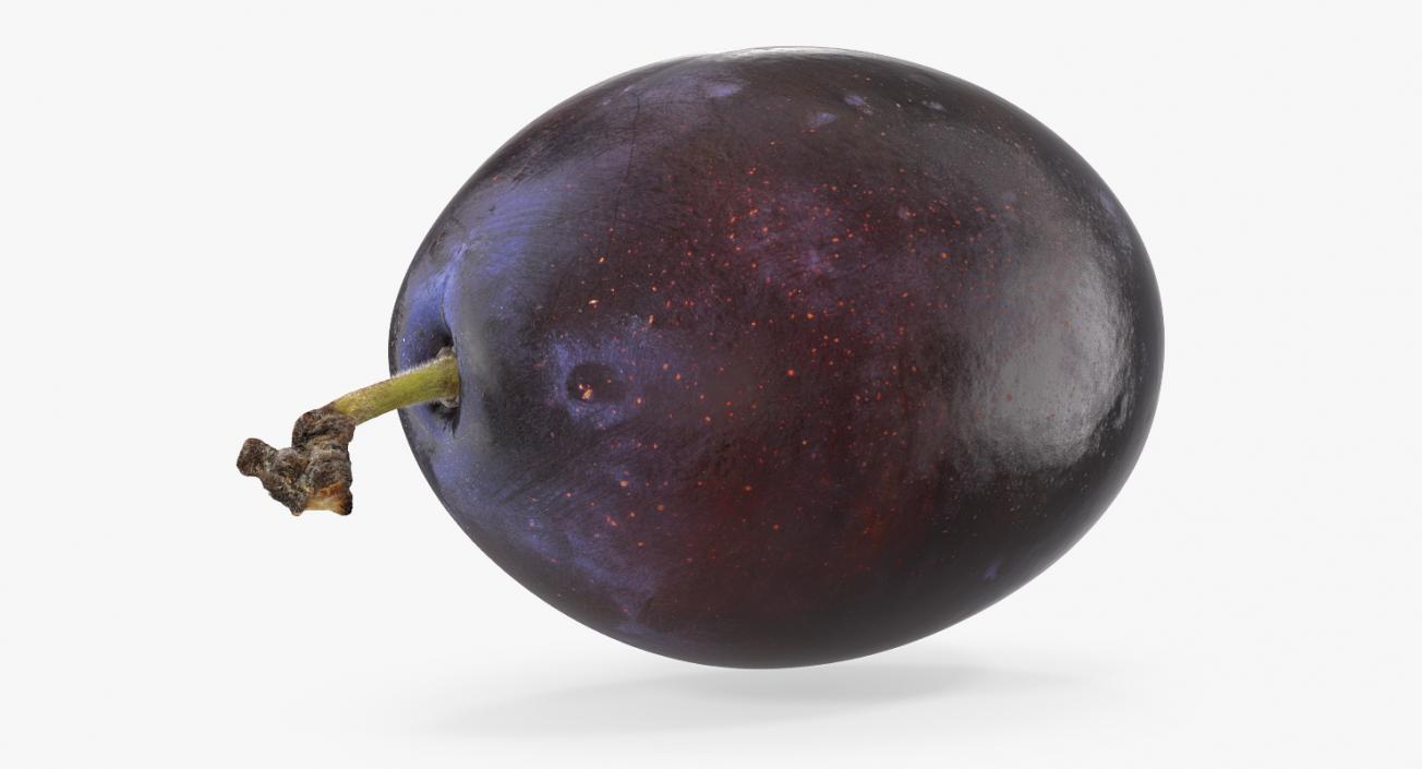 3D model Blue Ripe Plum Fruit