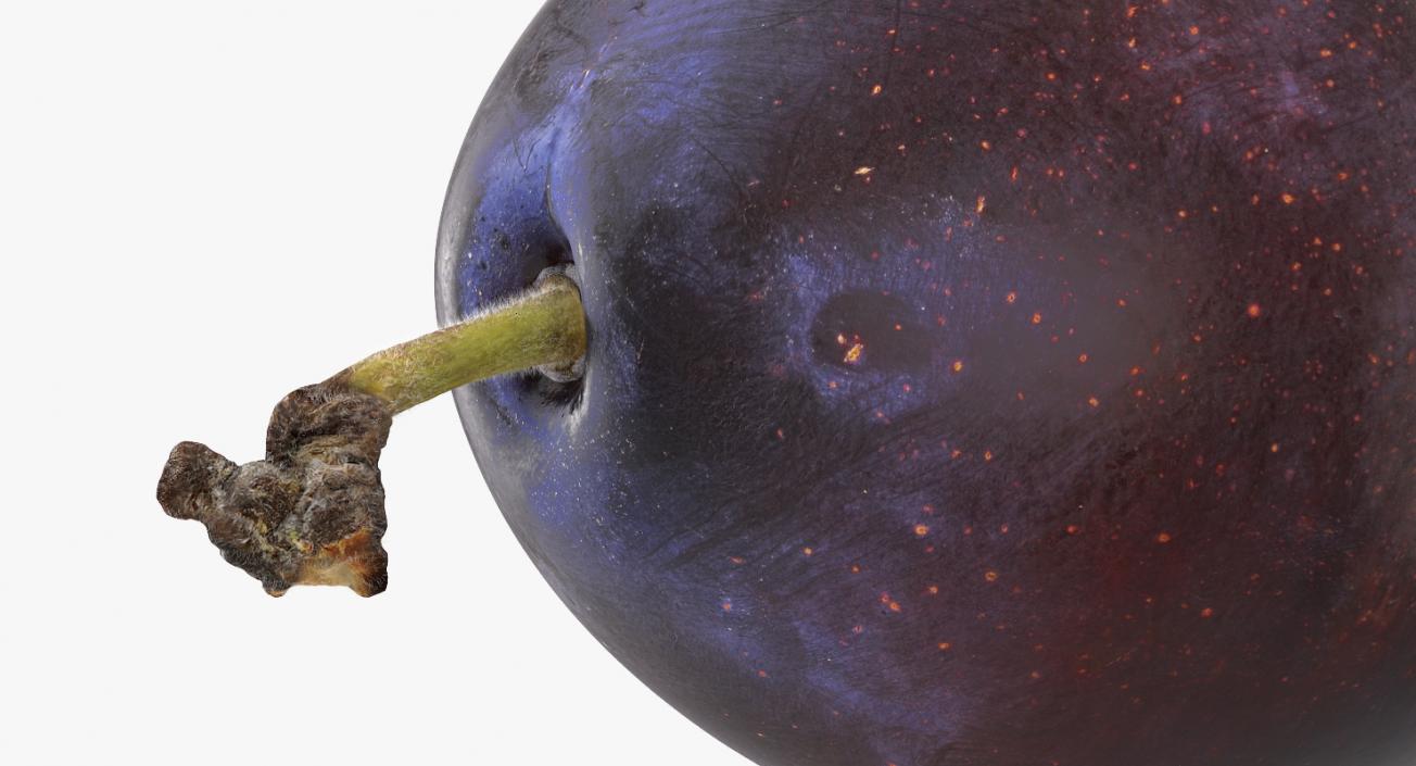 3D model Blue Ripe Plum Fruit