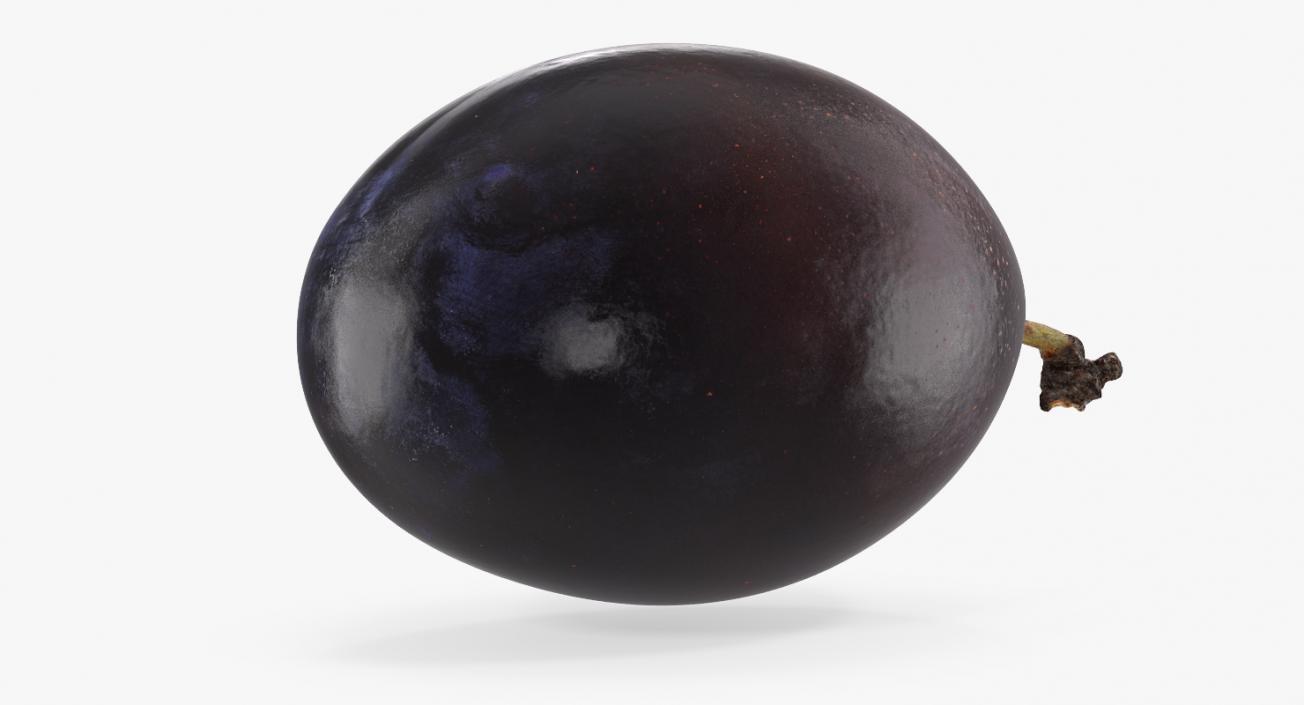 3D model Blue Ripe Plum Fruit