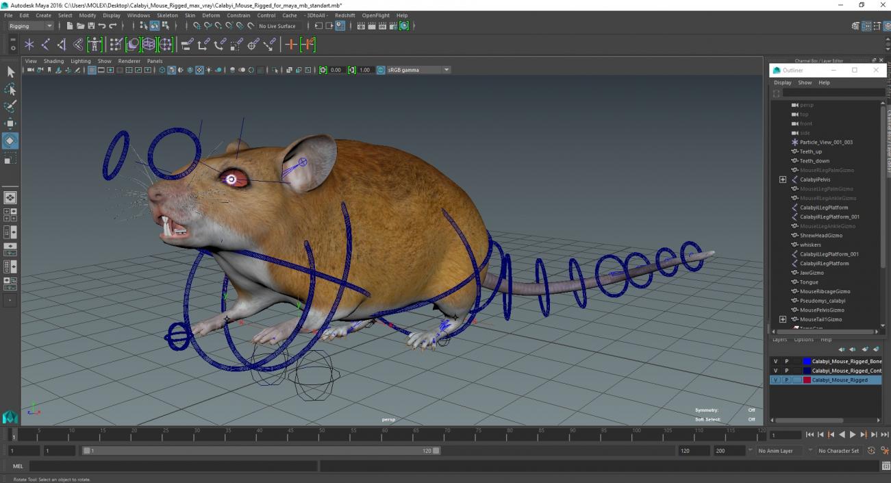 Calabyi Mouse Rigged for Maya 3D model