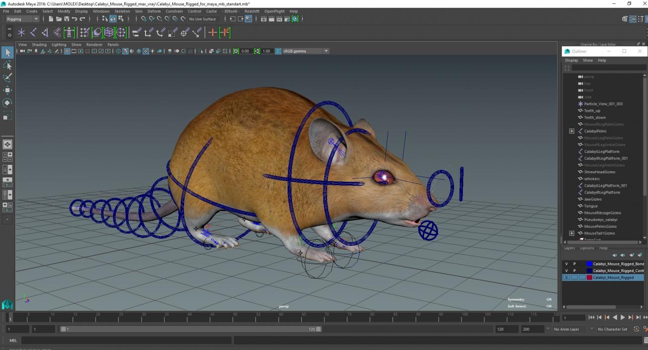 Calabyi Mouse Rigged for Maya 3D model