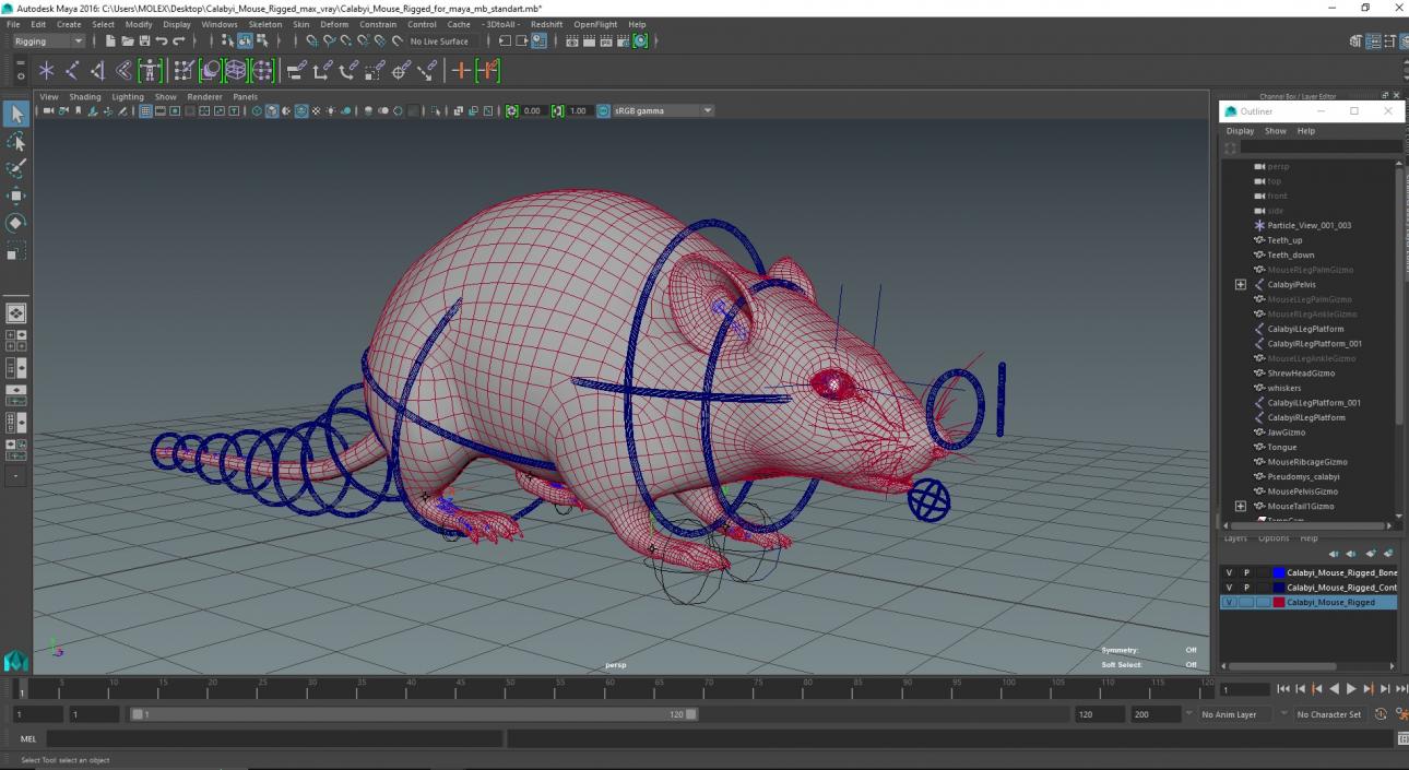 Calabyi Mouse Rigged for Maya 3D model