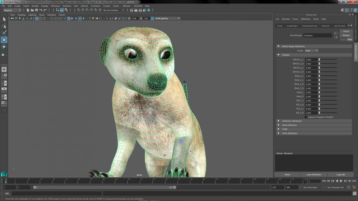 3D model Meerkat Rigged for Maya 3