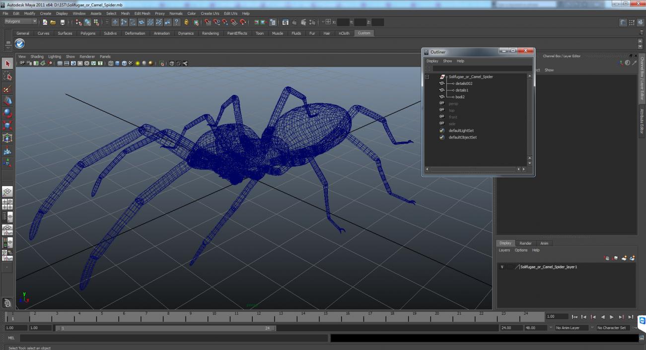 3D model Solifugae or Camel Spider