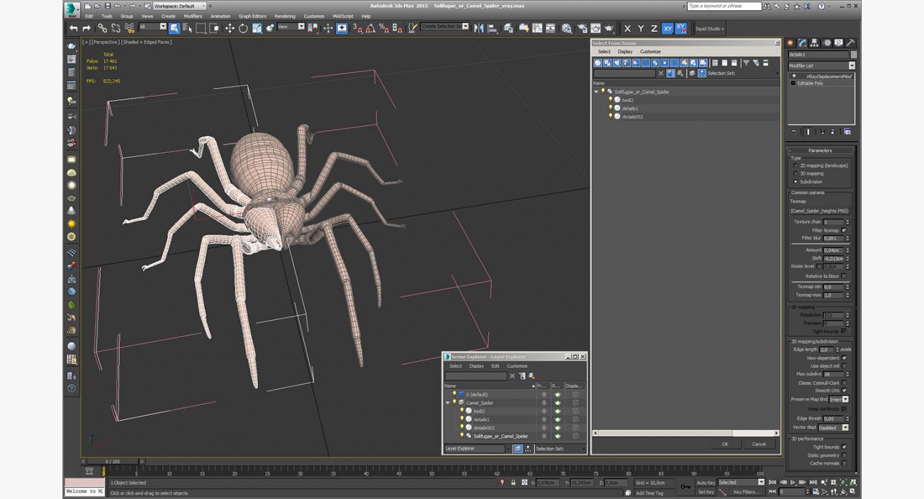 3D model Solifugae or Camel Spider