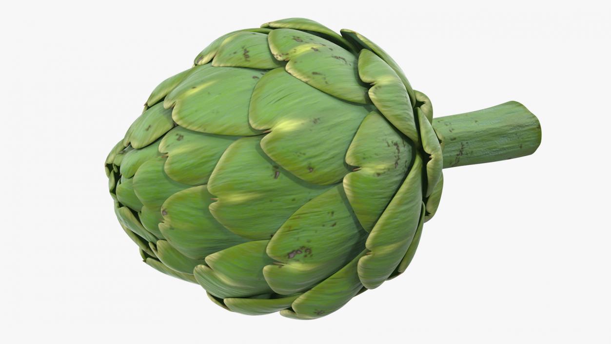 Artichoke 3D model