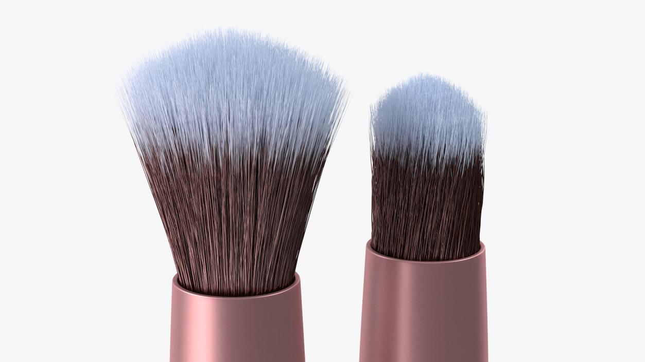 Angled Eyeshadow and Detail Brush Fur 3D