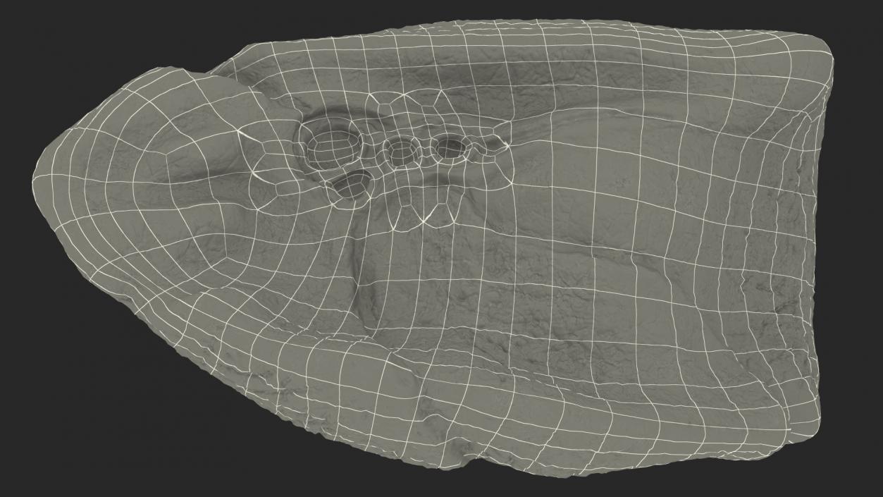 3D Human Respiratory System 2