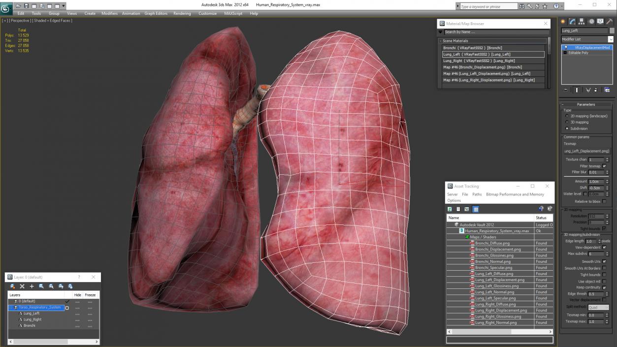 3D Human Respiratory System 2