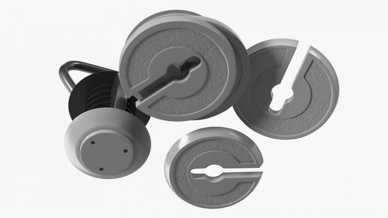 3D Kettlebell with Disks Gray 2 model