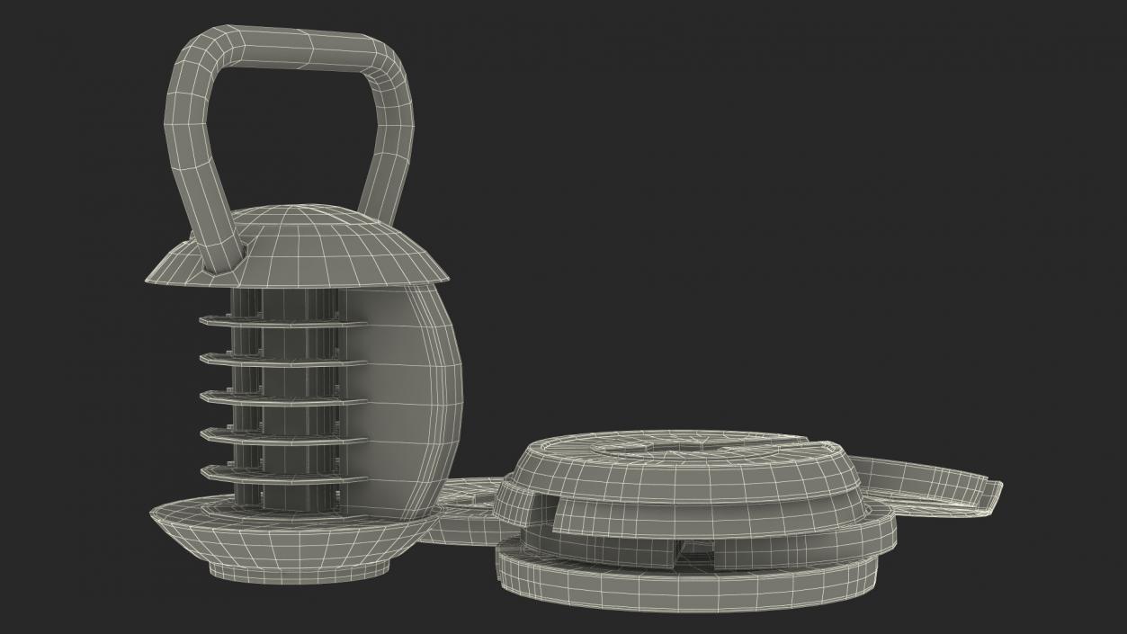 3D Kettlebell with Disks Gray 2 model