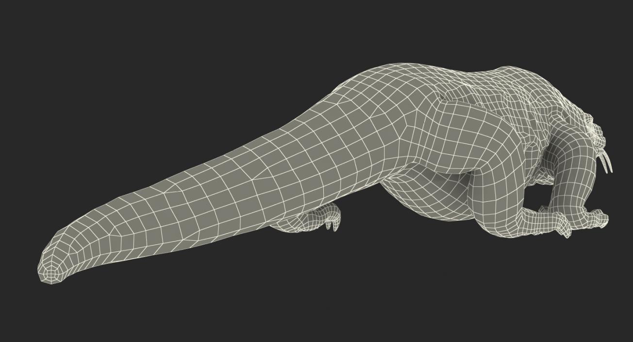 3D Komodo Dragon Walking Pose