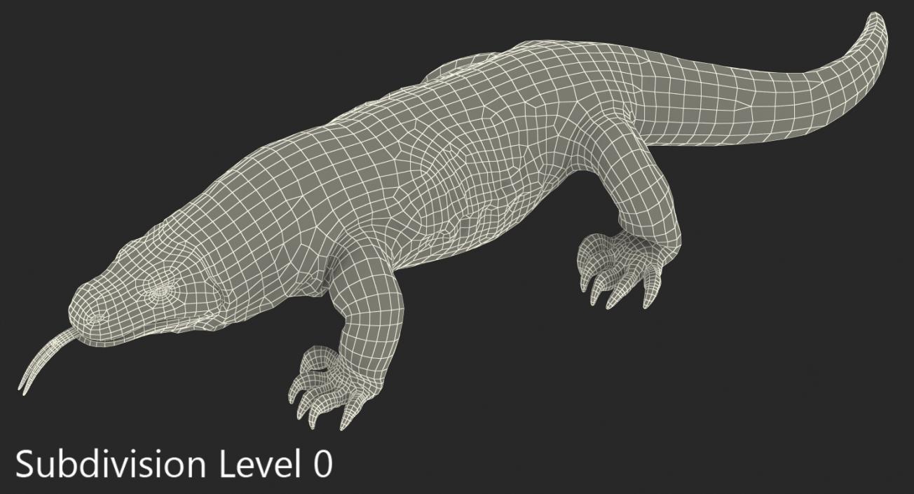 3D Komodo Dragon Walking Pose