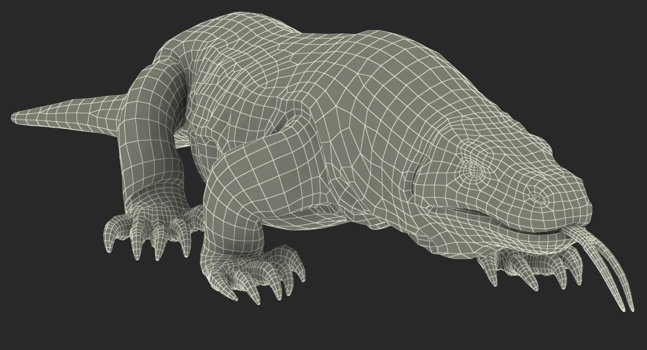 3D Komodo Dragon Walking Pose