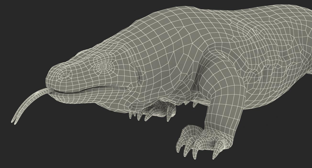 3D Komodo Dragon Walking Pose