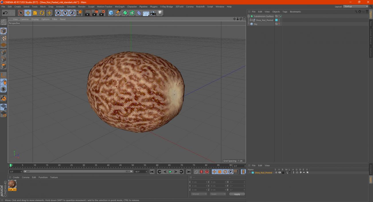 3D model Shea Nut Peeled