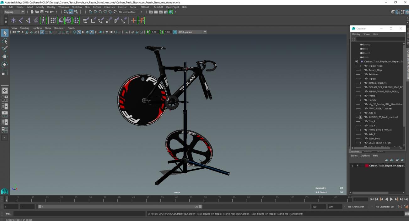 3D Carbon Track Bicycle on Repair Stand