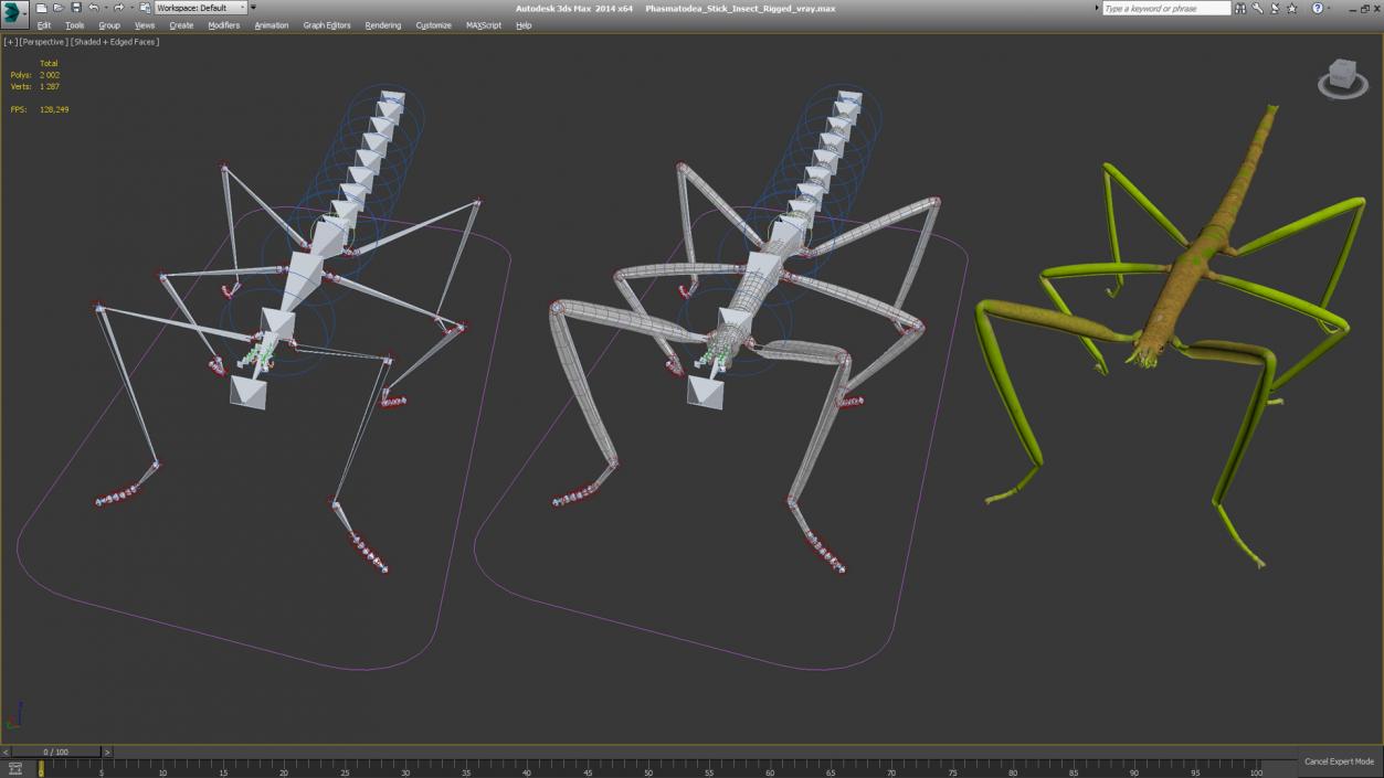 3D Phasmatodea Stick Insect Rigged